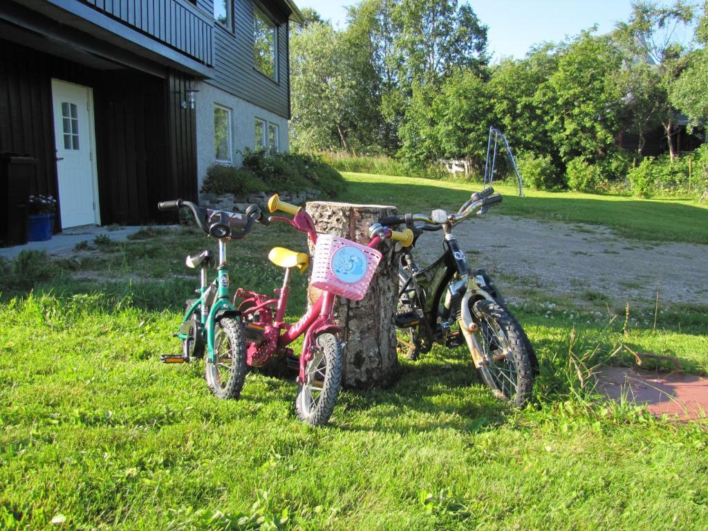 Midt I Lofoten Alstad  Ngoại thất bức ảnh